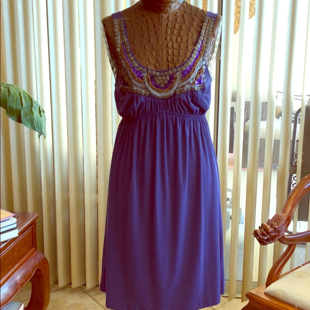 Bailey Blue Embellished Tank Dress